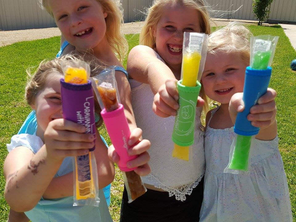 Icy Pole Holder SINGLE Caravan RV Camping