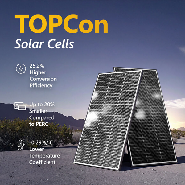 /assets/thumbL/Exo-SP-TCN-250.png?20250812161310