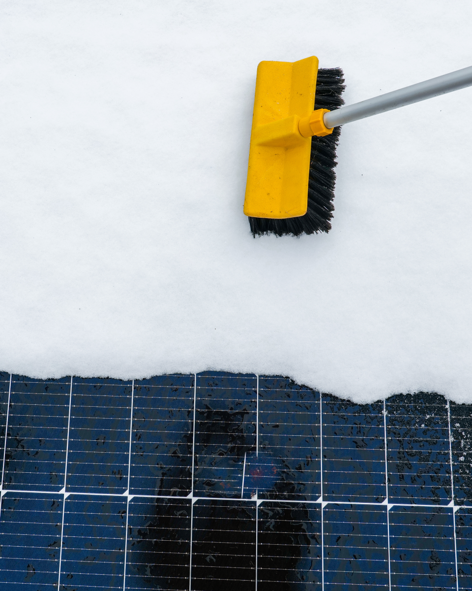 Cleaning solar panels
