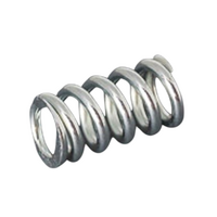 Fiamma F45 S Spring For Inner Bracket