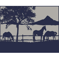 Camping Mat Warehouse 3x1.8m Ranch Recycled Mat