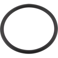 Truma O-Ring Element Ultra Rapid