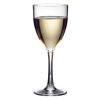 POLYSAFE POLYCARBONATE GLASS VINO BLANCO GOBLET 250ML. PS-6