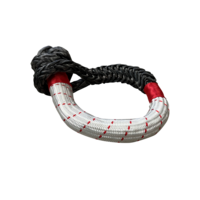 CAOS 20T Soft Shackle