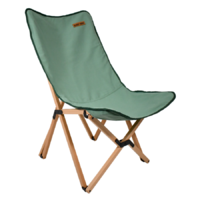 BlackWolf Shale Green Beech Chair