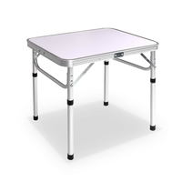 DZ 60cm Portable Camping Table
