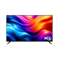 NCE 12 Volt 24" Google Smart TV, Kayo Compatible