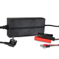 Renogy 24V 10A AC to DC Lithium Iron Phosphate Battery Charger