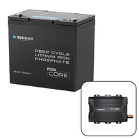 Renogy 100Ah Mini Lithium with DC-DC Charger Bundle