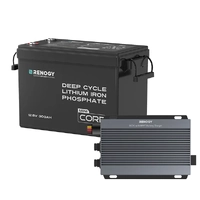 Renogy 300Ah Mini Lithium and 50A DC-DC IP67 Bundle