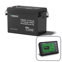 Renogy 12V 300Ah Core Mini Lithium Battery