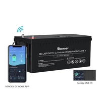 Renogy 12V 200Ah Lithium Iron Phosphate Battery with Bluetooth & Renogy ONE M1