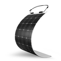 Renogy 100W 12V Flexible Monocrystalline Solar Panel