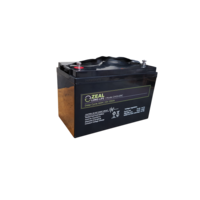 Zeal 12V 125Ah AGM Deep Cycle Battery