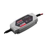 DZ 3.5A Smart Battery Charger