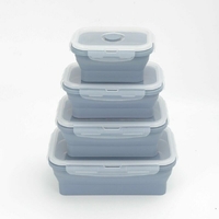 TRA Set of 4 Collapsible Food Containers