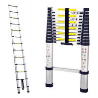 TRA 3.8m Portable Telescopic Ladder