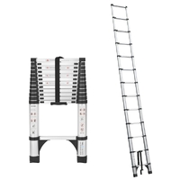 TRA Telescopic Ladder Silver 4.1m