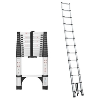 TRA Telescopic Ladder 4.4m Silver