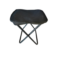 DZ Folding Camping Stool
