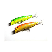 DZ 9.5cm Poppers Fishing Lure Surface Tackle Saltwater 2 Pack