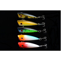 DZ 6cm Poppers Fishing Lure Surface Tackle Fresh Saltwater 5 Pack