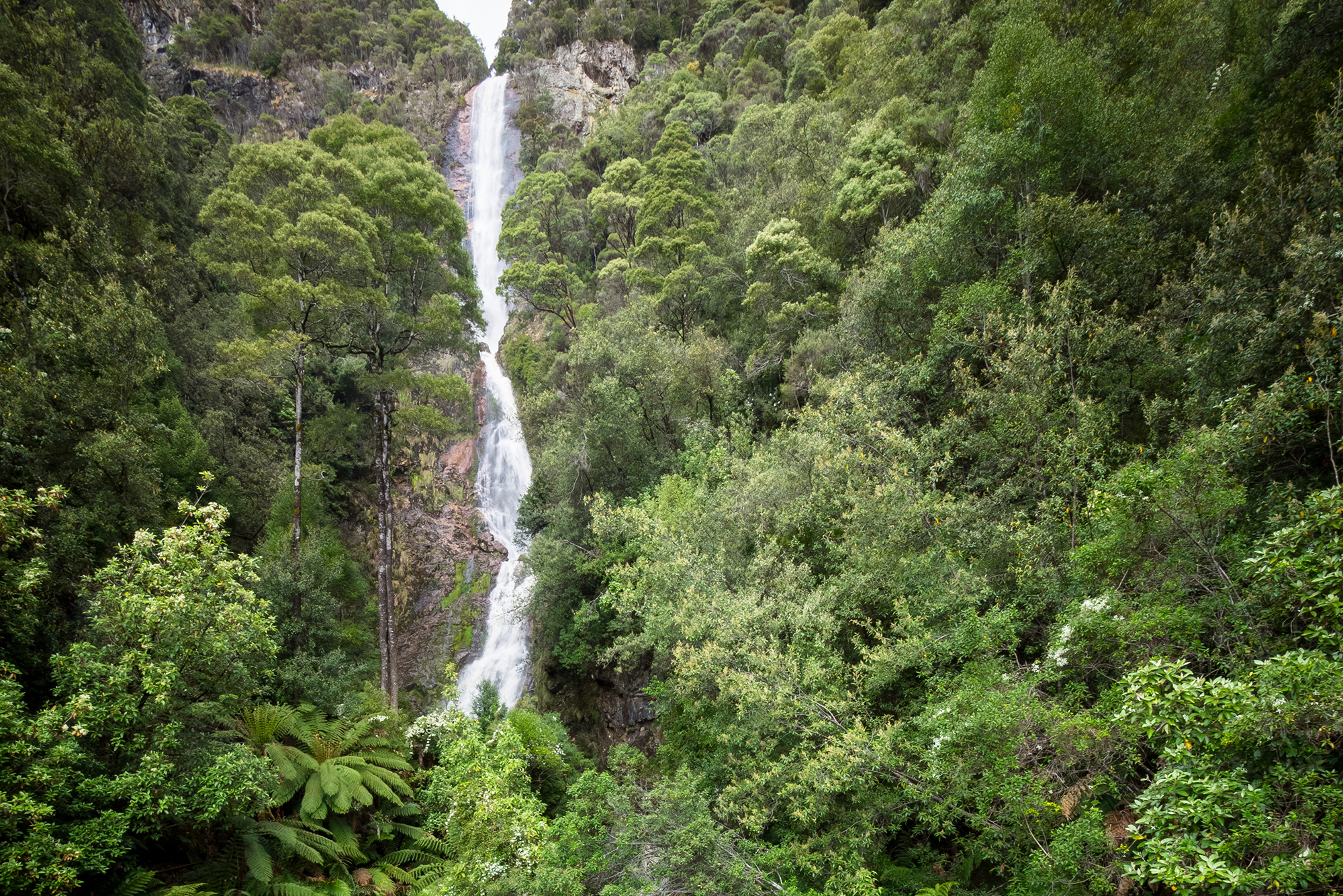 Montezuma Falls, Tasmania 