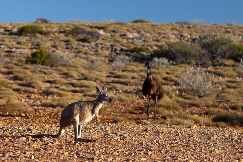 Exmouth & Coral Bay