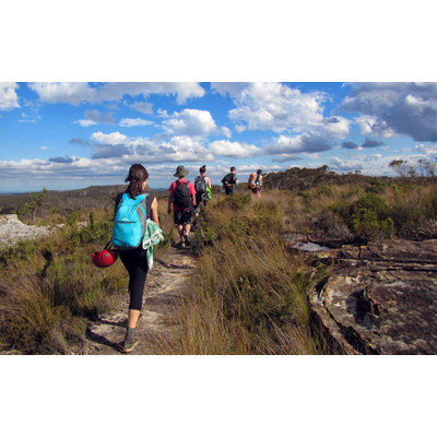 7 Reasons Why You Should Take Up Bush Walking on Your Big Lap