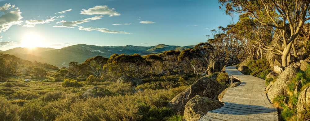 Main Range, Kosciuszko National Park, NSW