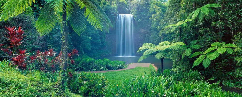 Millaa Millaa Falls | Queensland